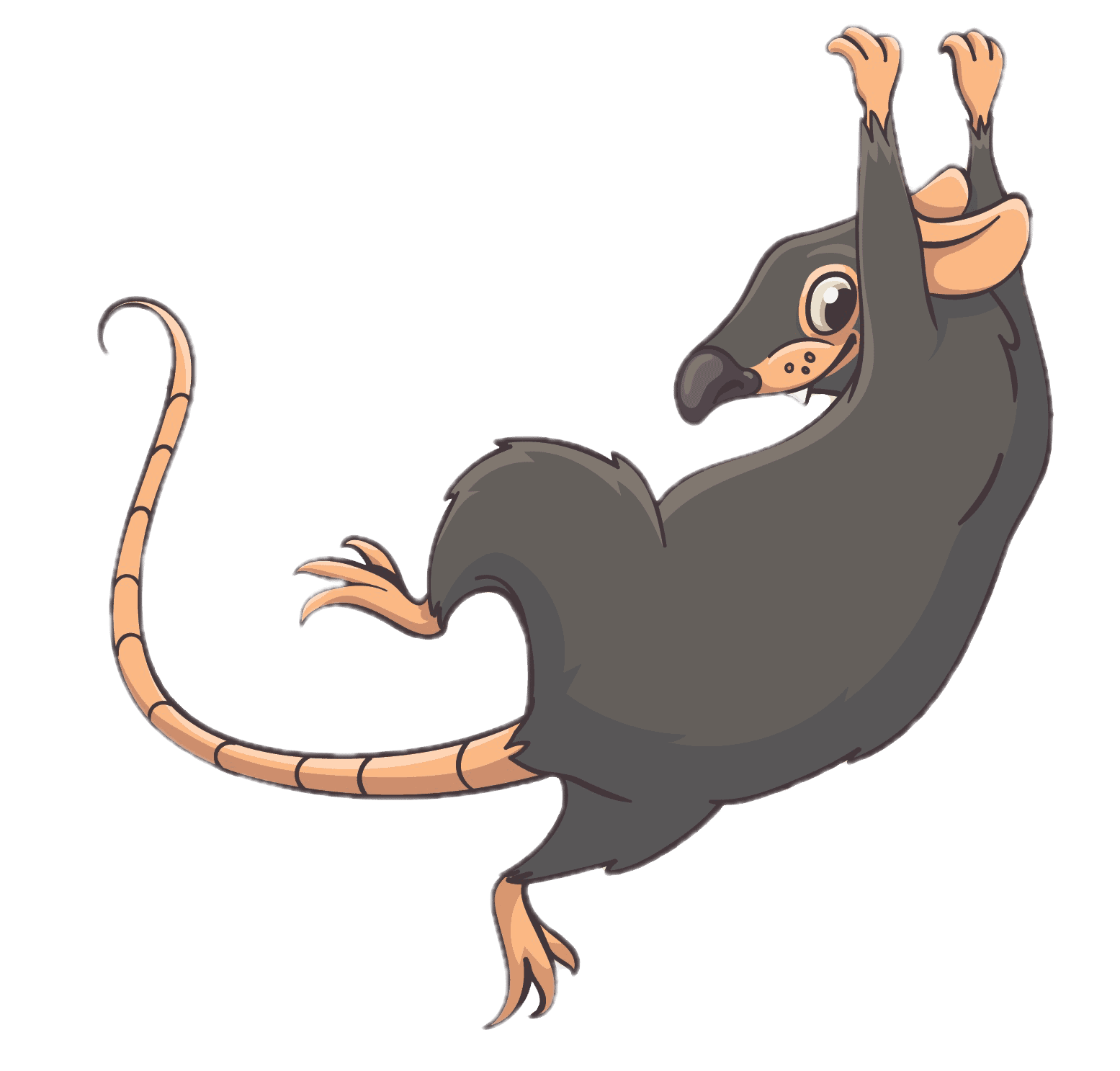 Rodent pest cartoon mascot for pest control and pest supplies.